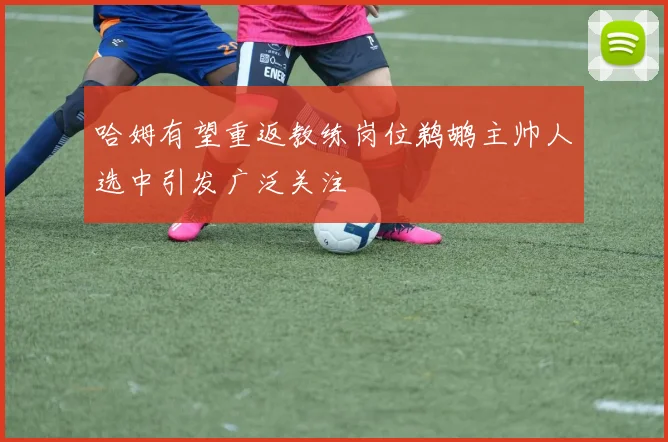 哈姆有望重返教练岗位鹈鹕主帅人选中引发广泛关注