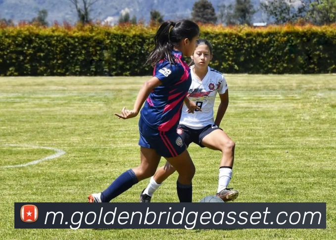 媒体人点评老里执教水平提升雄鹿引领东部竞争新格局